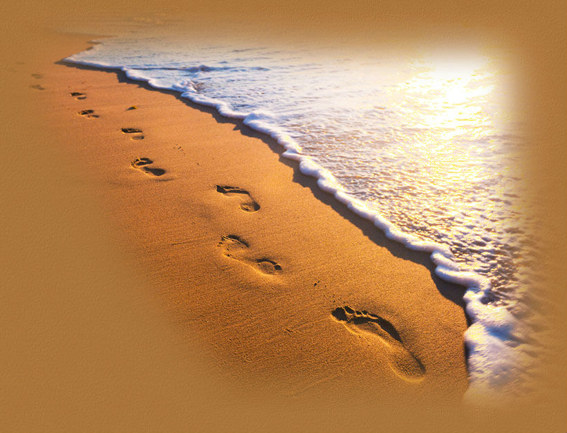 footprints HOMEPAGE