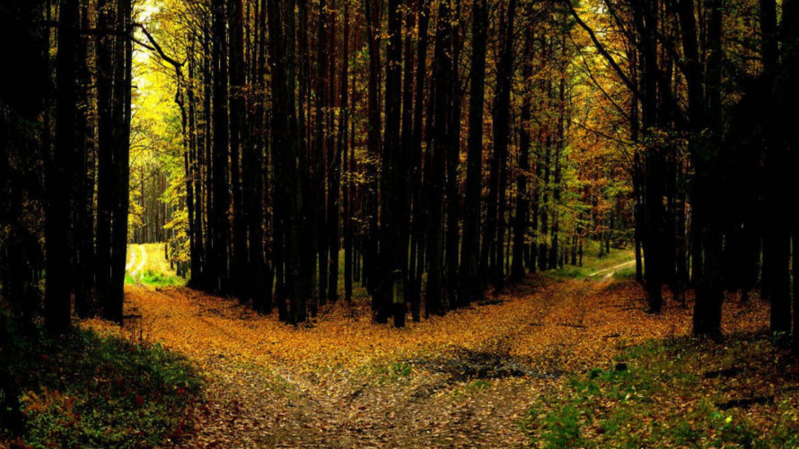 Энигма way. Goodbye milky way enigma обложка девушка на фоне. Enigma why. Enigma - why (white motive remix). Enigma goodbye milky way.