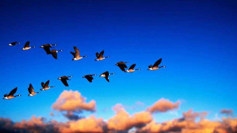 Everyone is a leader