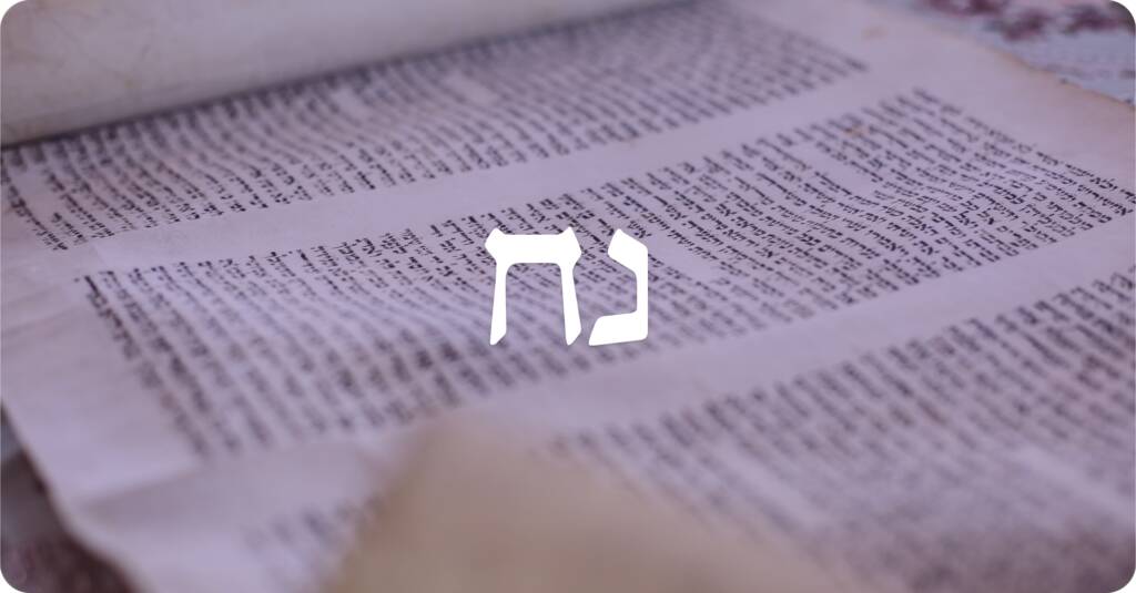 Parshat Noach Covenant Conversation The Rabbi Sacks Legacy