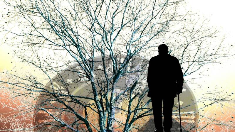 tree time old man elderly walk journey travel alone lonely