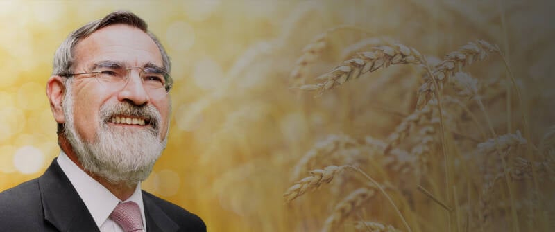 rabbi sacks shavuot homepage quote background wheat field