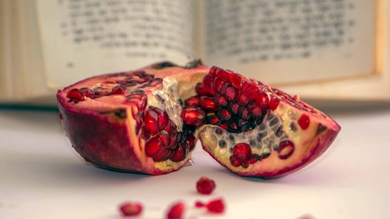 pomegranate machzor seeds rosh hashanah