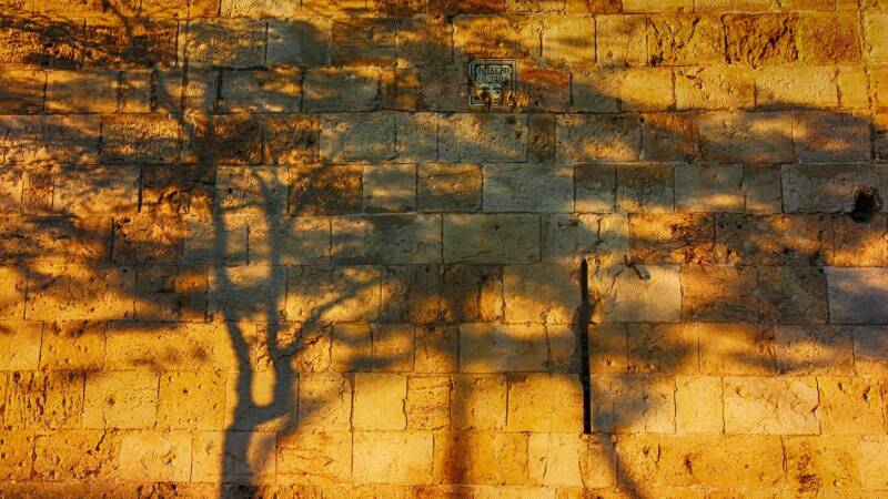 Trees cast their shadows on the Jerusalem stone of the city