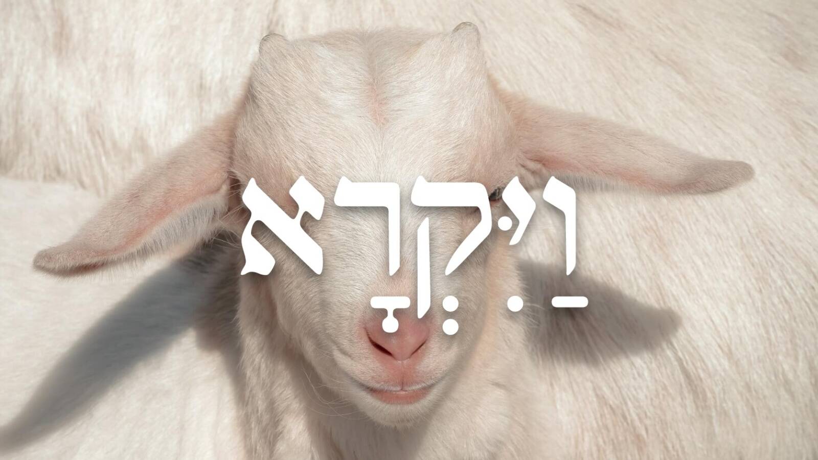 Covenant & Conversation Parsha of the Week by Rabbi Sacks