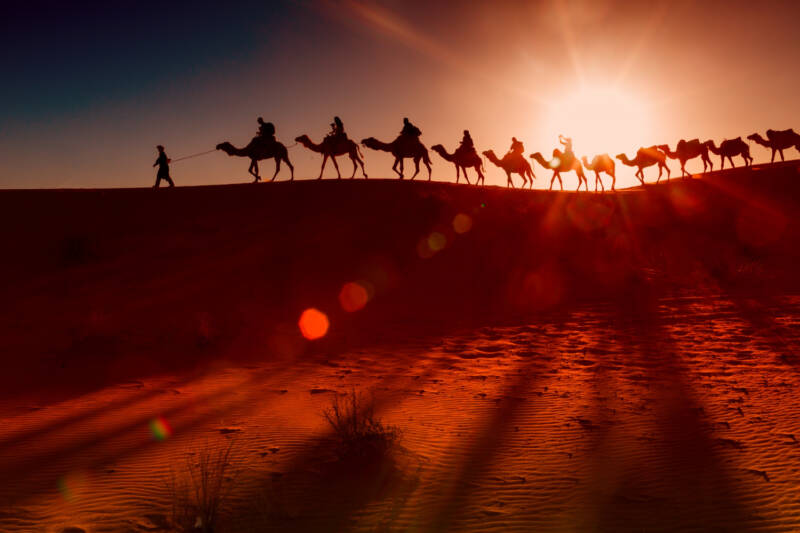 journey people in the desert with camel caravan trail sand travel procession follow lead freepik