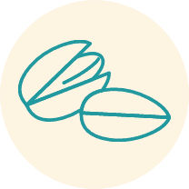 icon ccfe5786 parsha in a nutshell