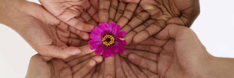 flower close up people connecting through circle of hands