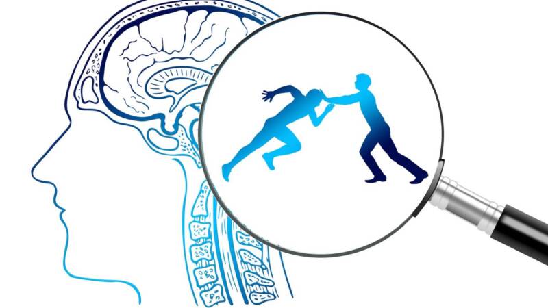 brain self defence wrestling decisions conflict thinking microscope thoughts microscope 1