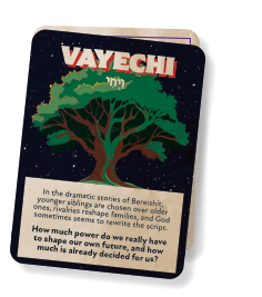 vayechi FE card