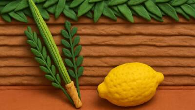 SUCCOT claymation FE