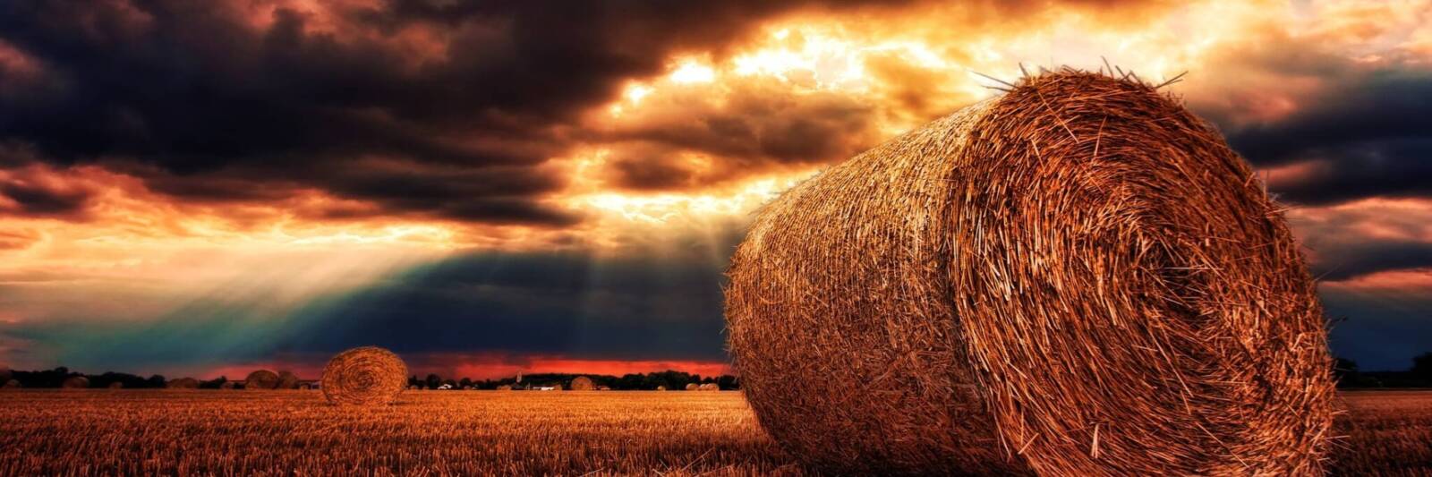 harvest journey god farm straw hay bale field