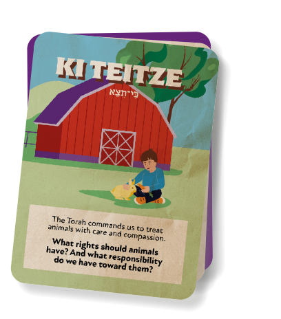 ki teitse card